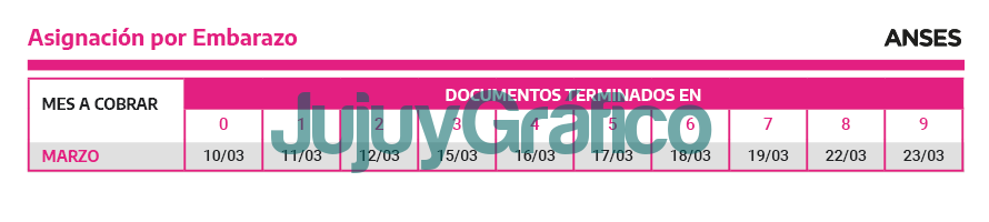 Calendario de pagos de marzo de beneficiarios del ANSES 7 Asignacion por Embarazo marzo