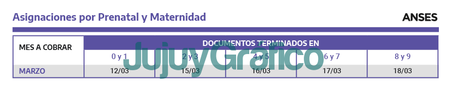 Calendario de pagos de marzo de beneficiarios del ANSES 8 Asignaciones por Prenatal y Maternidad marzo