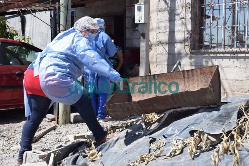 Dos casos importados de dengue en Jujuy