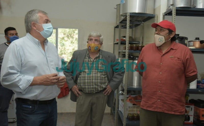 En Jujuy incentivaran la produccion de tomate chilto o de arbol 2