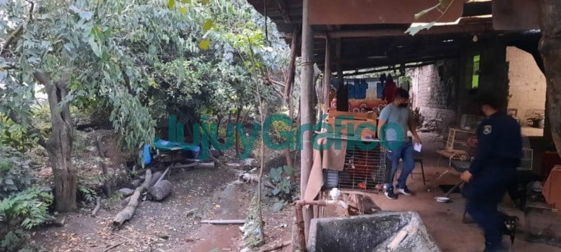 24 aves son rescatadas en San Salvador de Jujuy 3 24 aves son rescatadas en San Salvador de Jujuy 4