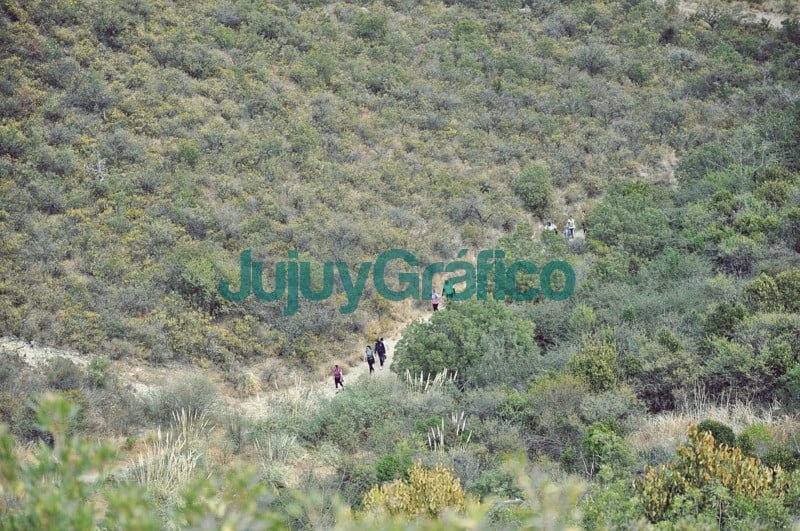 Encontrarse con la naturaleza y sus aromas serranos en Merlo 5 Encontrarse con la naturaleza y sus aromas serranos en Merlo 03