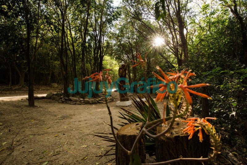 Encontrarse con la naturaleza y sus aromas serranos en Merlo 13 Encontrarse con la naturaleza y sus aromas serranos en Merlo 13