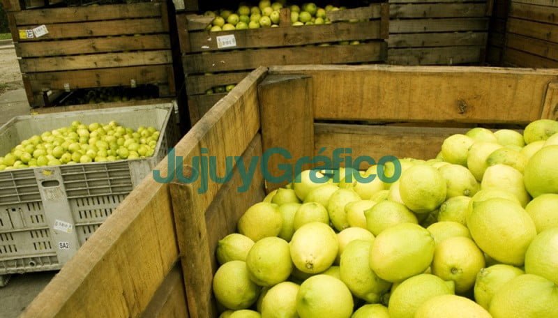 limones 1 limones 1
