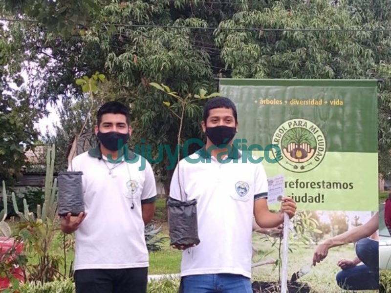 La Fundacion ProYungas lleva plan de forestacion en Libertador 1