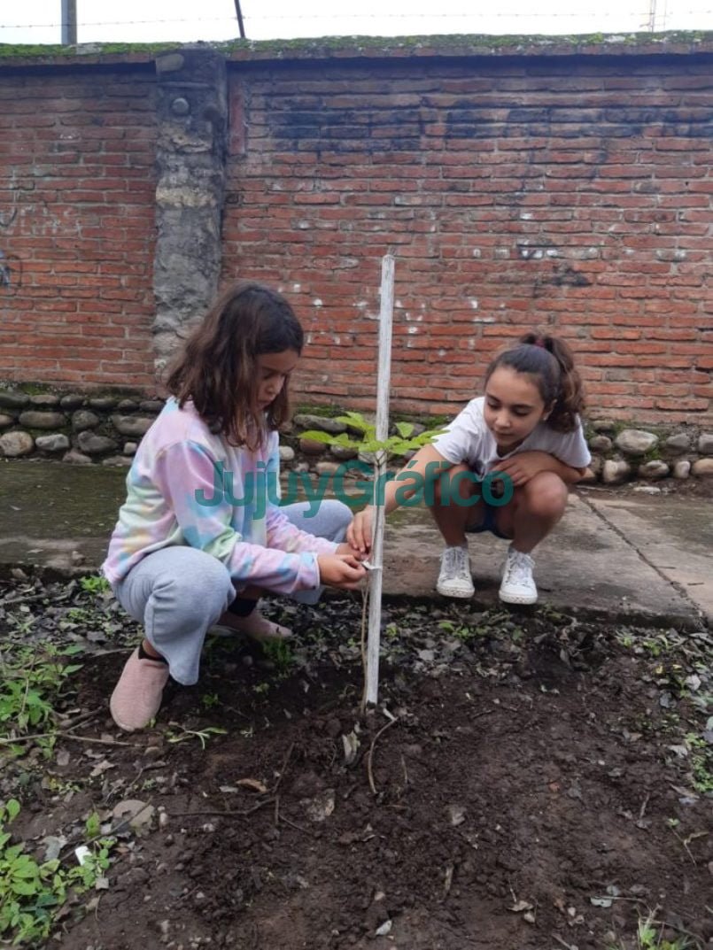 La Fundacion ProYungas lleva plan de forestacion en Libertador 3