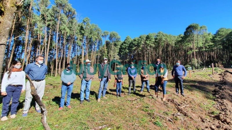 Apoyo para el desarrollo forestal sustentable en El Fuerte1