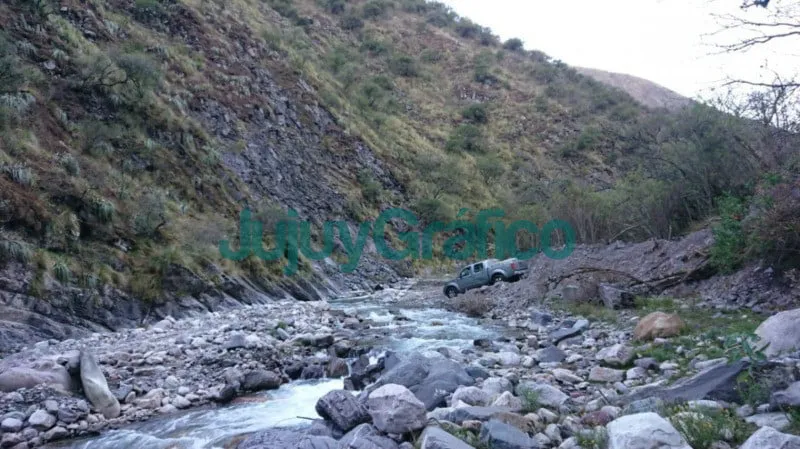 Intenso operativo rastrillaje para la búsqueda de ejemplares de cóndor andino 1 Intenso operativo rastrillaje para la busqueda de ejemplares de condor andino 4
