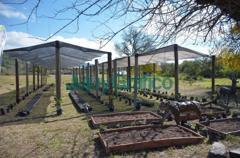 Jujuy y su compromiso ambientalista 3 Jujuy y su compromiso ambientalista 🌵 Jujuy Grafico 4