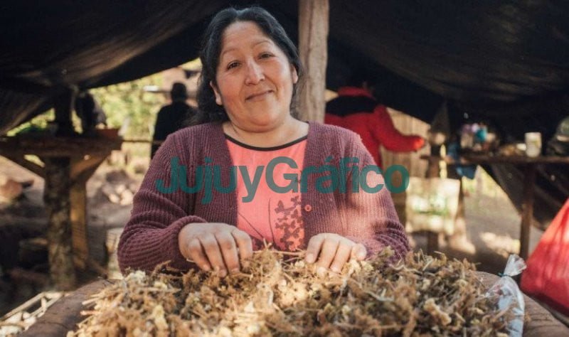 Turismo Rural Comunitario Jujuy