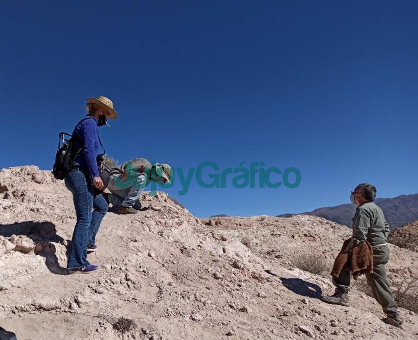 Hallaron restos fosiles de mamiferos en Humahuaca