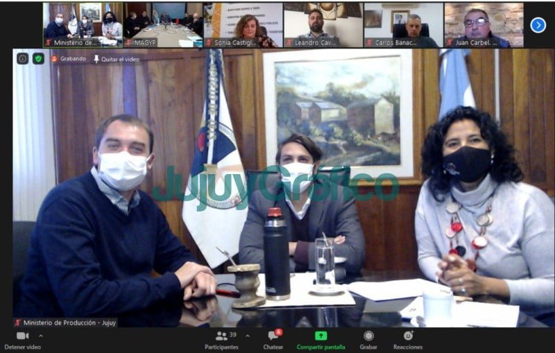 Jujuy en busca de un Plan Ganadero Federal