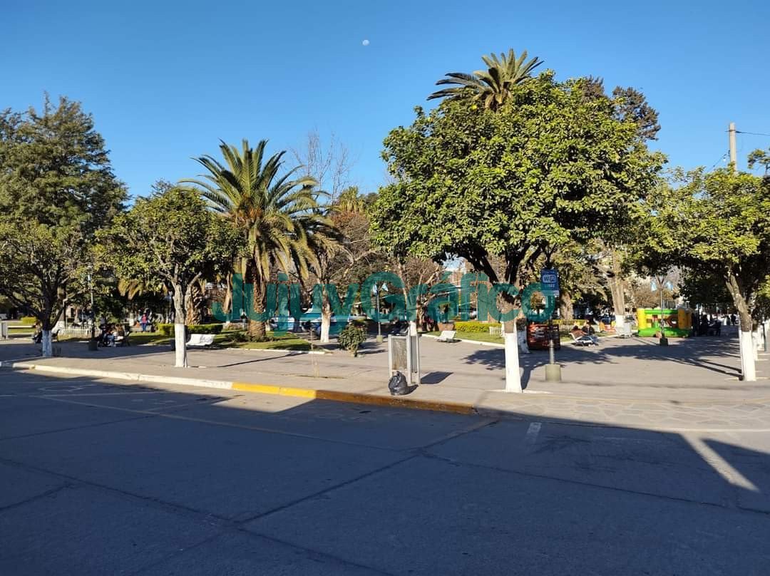 Quieren injertar árboles frutales en la Plaza San Martín de Perico 3 Quieren plantar arboles frutales en la Plaza San Martin de Perico 1