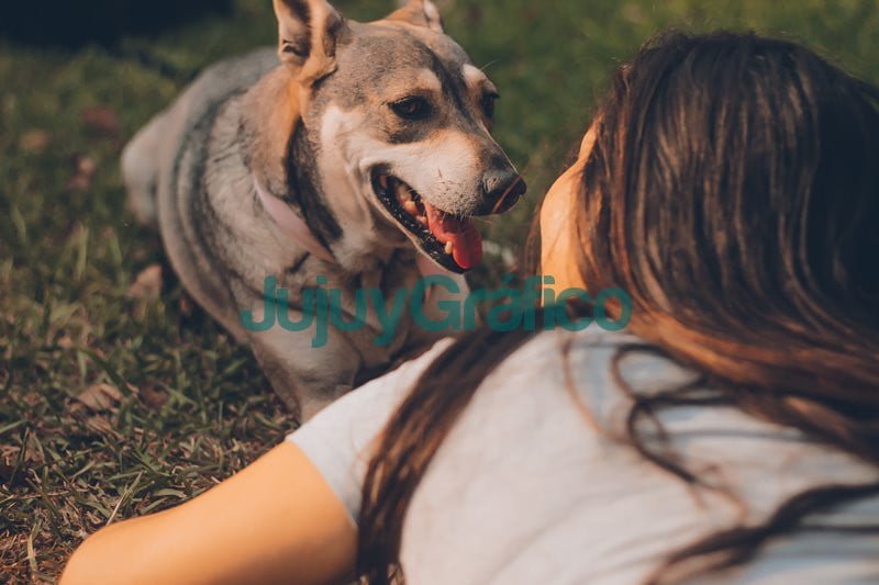 manuel meza jyxnsyxokj4 unsplash 617995 2