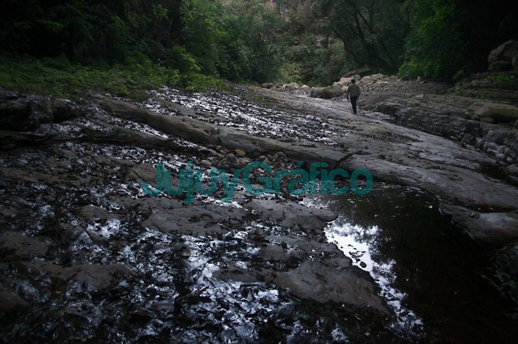 Bosques Vivos de Jujuy: Convocatoria al Concurso de Fotografía Ambiental 3 Estudian declarar al Rio San Francisco como Paisaje Protegido Fluvial Bosques Vivos de Jujuy. Convocatoria al Concurso de Fotografía Ambiental
