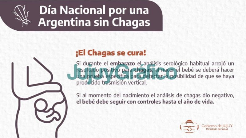 Jujuy busca eliminar la transmision de chagas por via madre bebe 1