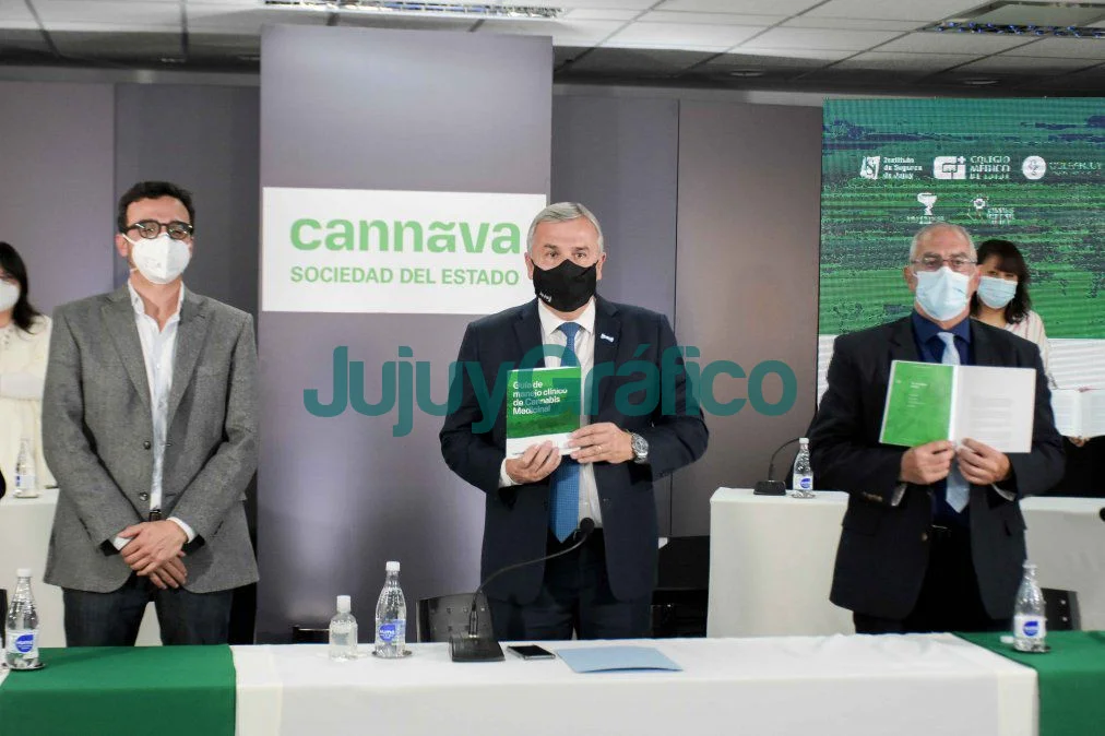 Jujuy presentó la primera guía de manejo clínico de cannabis medicinal 9 morales debemos estar orgullos este esfuerzo colectivo que nos posiciona como la primer provincia avanzar esta guia y el desarrollo un producto calidad y eficaz fruto manos y mentes jujenas