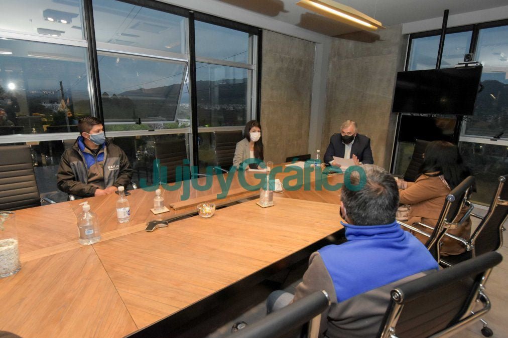 El Gobierno acompanara la realizacion del proyecto del auto electrico 1