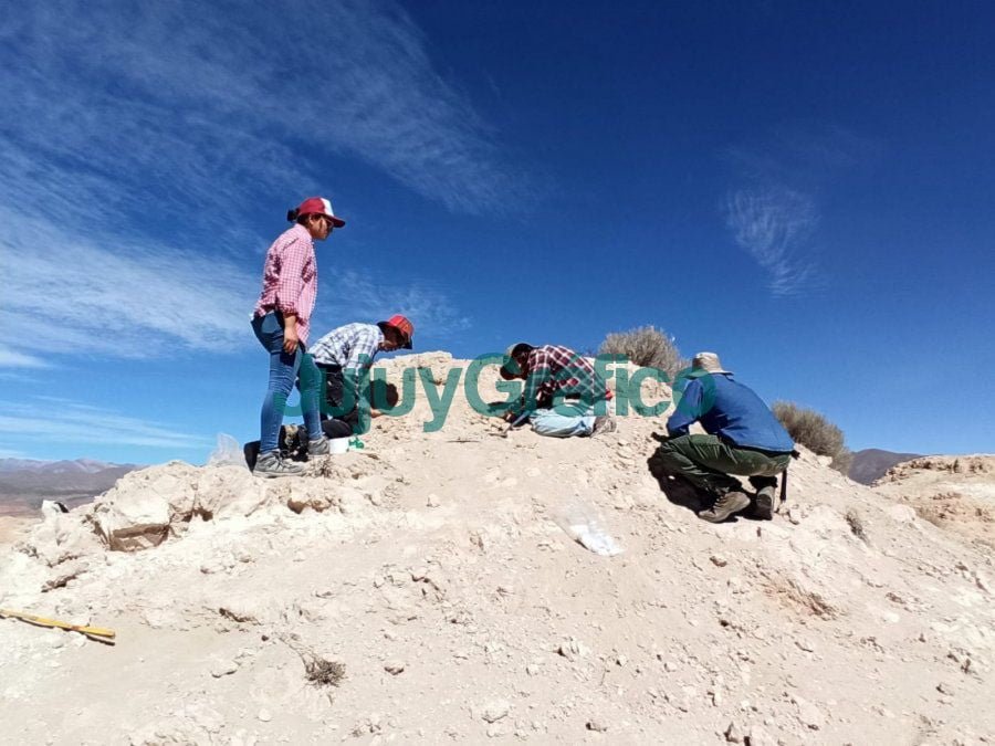 Extraccion exitosa de restos fosiles en Humahuaca 2