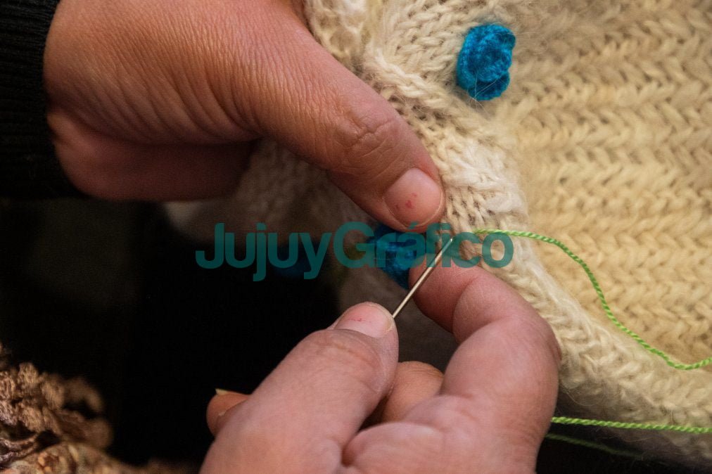 Fiscalizacion de artesanos en Yavi