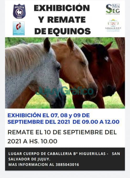 Segundo remate de animales del Juzgado Contravencional No 1 1