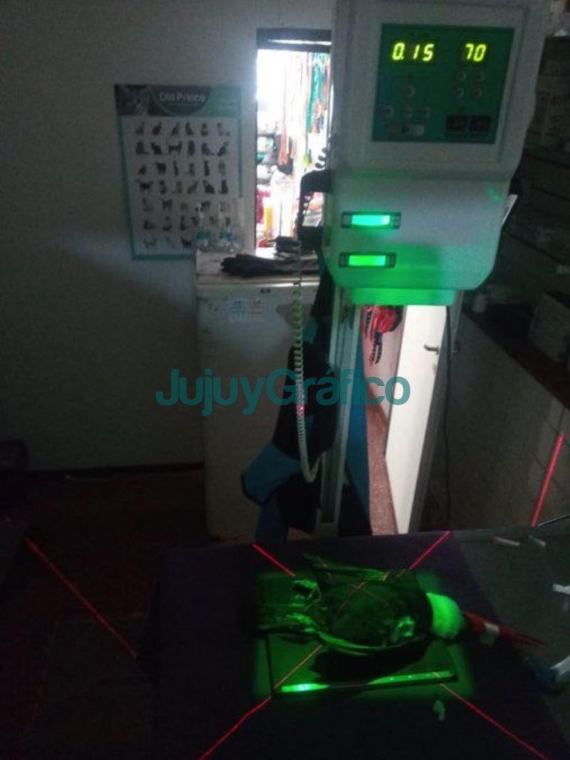 Tucán con herida por arma de fuego es asistido en el CAFAJu 4 Tucan con herida por arma de fuego es asistido en el CAFAJu 2