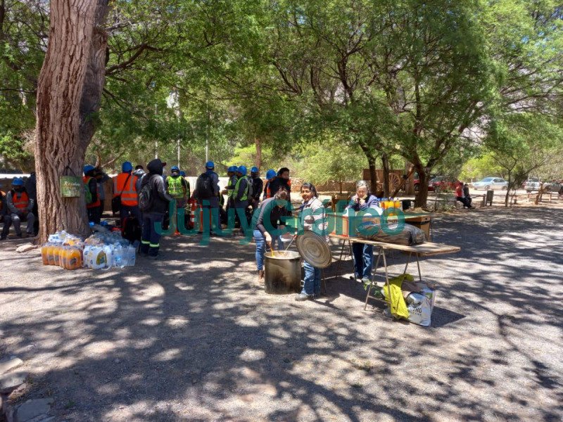 35 hectáreas de cardones fueron remediadas en Maimará 3 35 hectareas de cardones fueron remediadas en Maimara 4