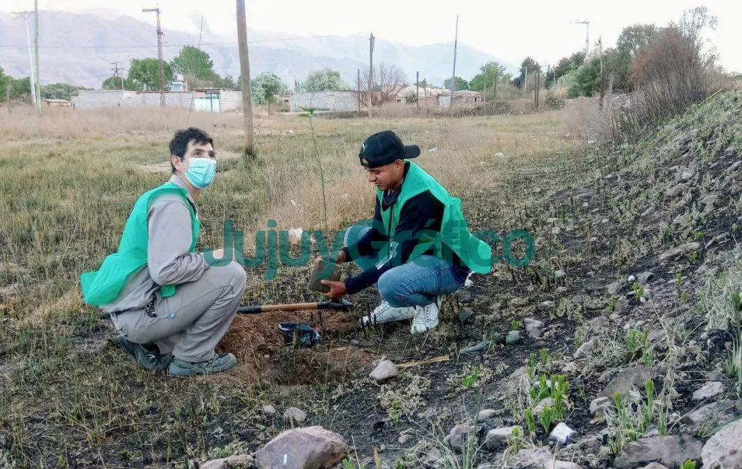 Actividades ambientales en la Quebrada de Humahuaca Uquia 3