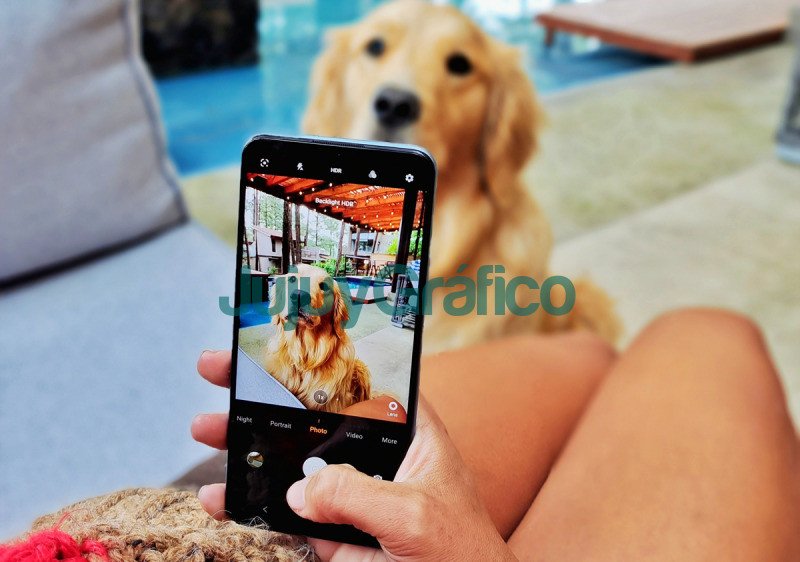 Cinco tips para crear los mejores contenidos junto a nuestras mascotas en redes sociales 1 Cinco tips para crear los mejores contenidos junto a nuestras mascotas en redes sociales