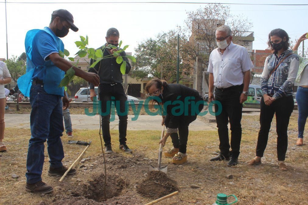 Escuelas de San Pedro plantaran 714 arboles nativos 1