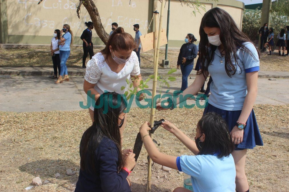 Escuelas de San Pedro plantaran 714 arboles nativos 4