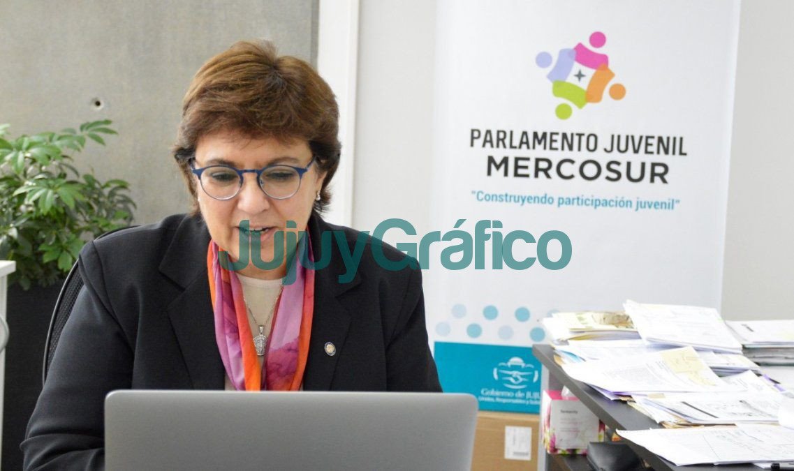 Inicio del 12° Encuentro Provincial de Parlamento Juvenil y Adulto del Mercosur 2 Inicio del 12° Encuentro Provincial de Parlamento Juvenil y Adulto del Mercosur 1