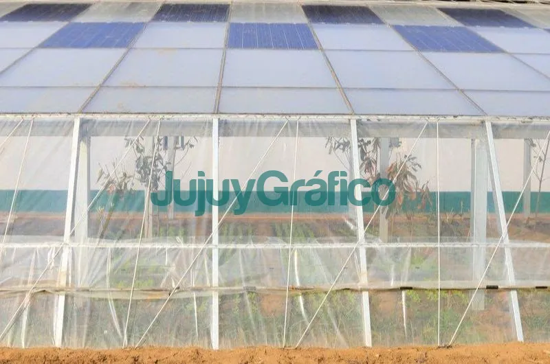 Invernaderos Solares, el futuro de la energía agrovoltaica 2 Invernaderos Solares el futuro de la energia agrovoltaica 3