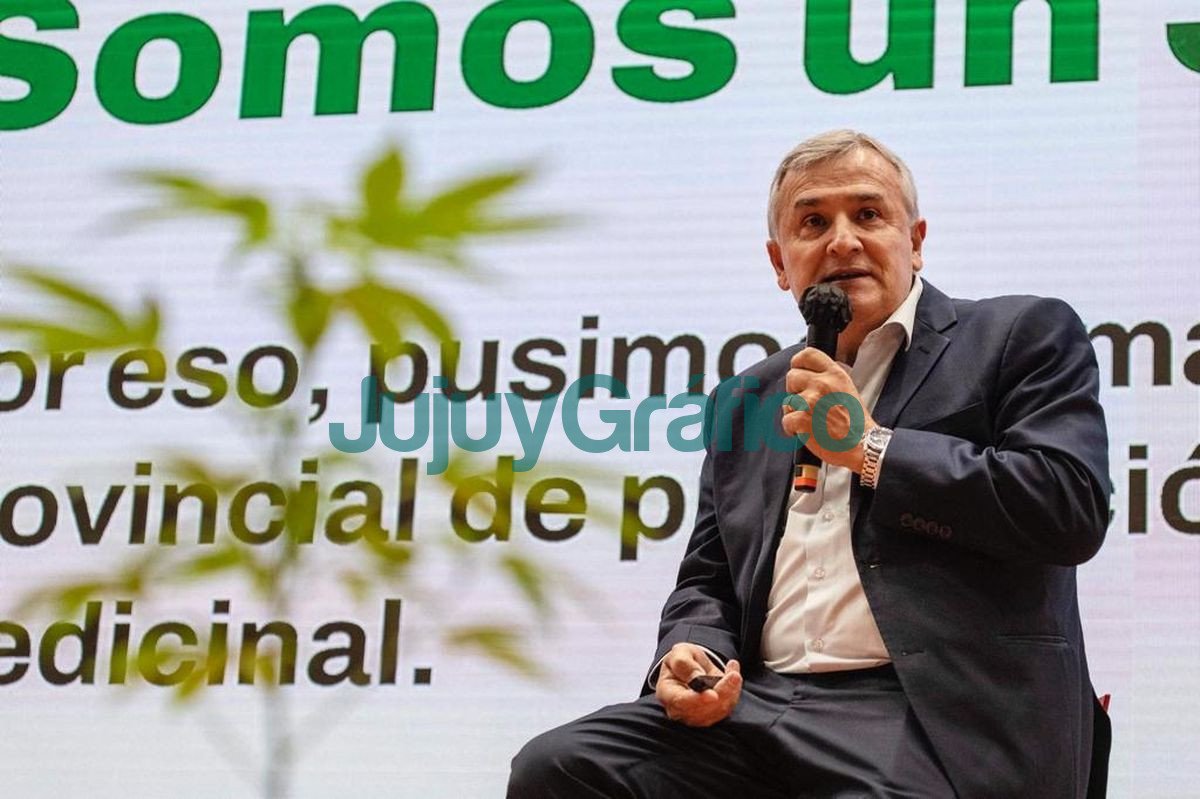 Respaldo de expertos internacionales al proyecto de cannabis medicinal 1