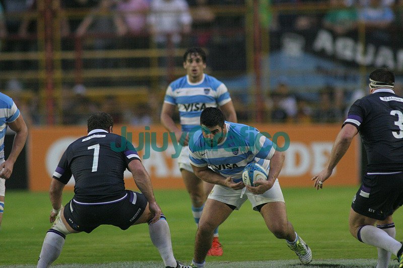 Los Pumas vs Escocia ph villarpress.com