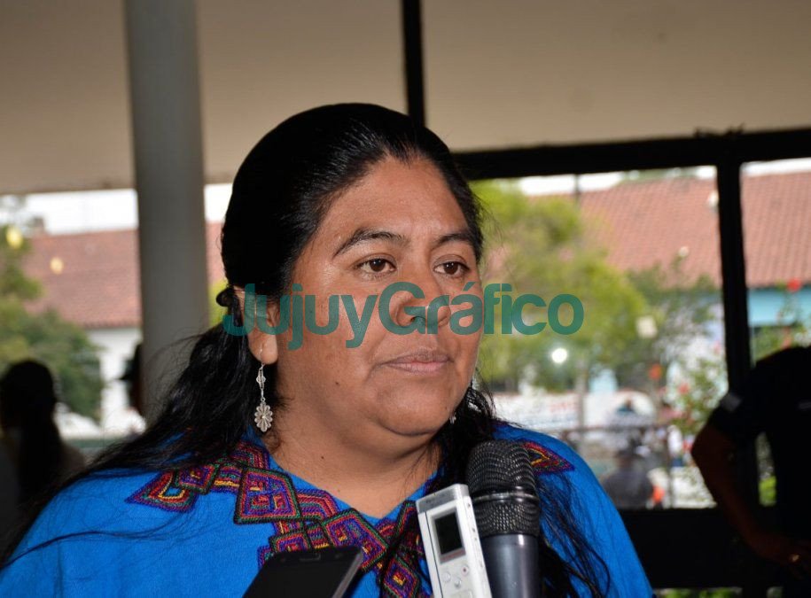 Sarapura: "Es imperativa la aprobación de la prórroga de la Ley 26160" 4 Natalia Sarapura
