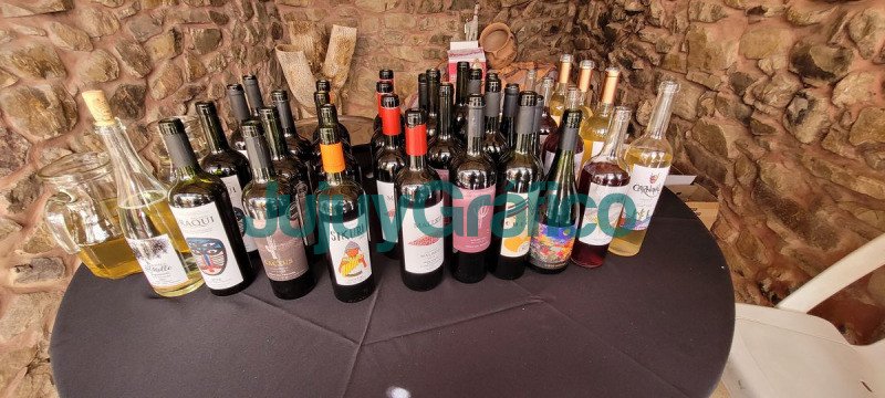Nueva estiba de vinos de Bodega Zucchino en Cava Mina Moya 12 Nueva estiba de vinos de Bodega Zucchino en Cava Mina Moya 2