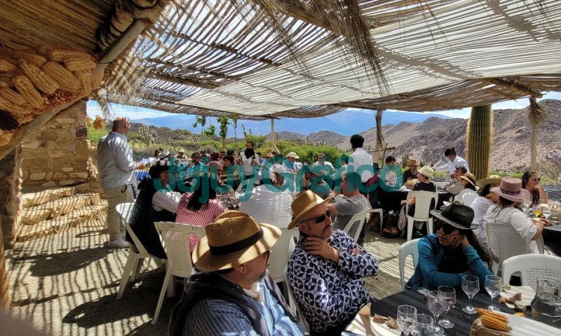 Nueva estiba de vinos de Bodega Zucchino en Cava Mina Moya 3 Nueva estiba de vinos de Bodega Zucchino en Cava Mina Moya 3