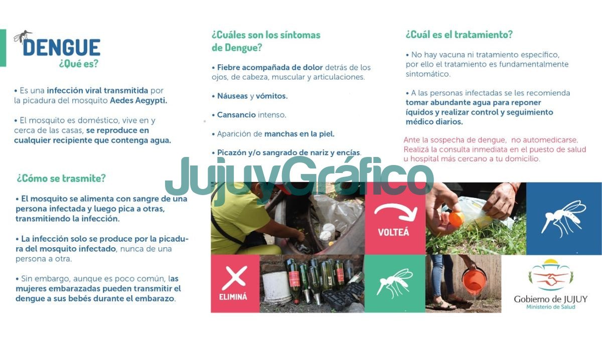 El dengue se transmite por la picadura del mosquito infectado 1