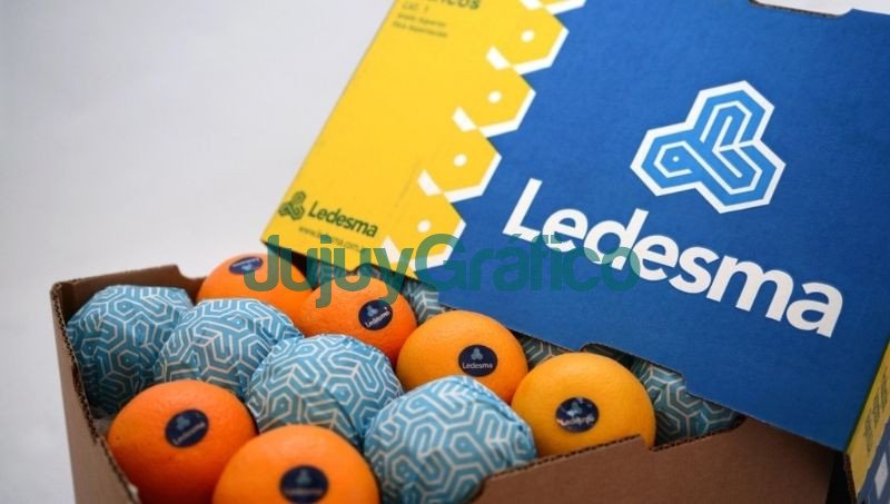 Ledesma volvió a liderar las exportaciones argentinas de cítricos 2 Ledesma volvio a liderar las exportaciones argentinas de citricos 2