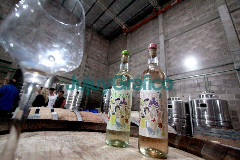 Antropo la primer bodega en la capital jujena 2