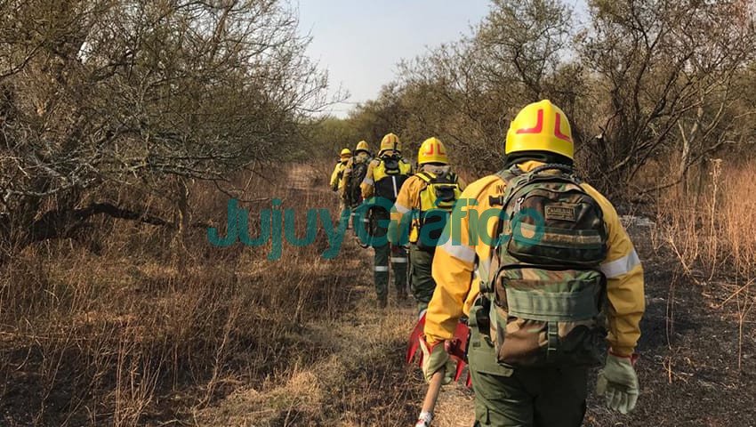 Se dictará una Diplomatura Universitaria en Brigadistas de Incendios de Vegetación y Emergencias Ambientales 4 Brigadistas