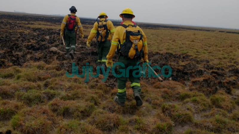Gran tarea de brigadistas jujenos contra el fuego en Corrientes 1