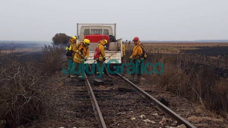 Gran tarea de brigadistas jujeños contra el fuego en Corrientes 2 Gran tarea de brigadistas jujenos contra el fuego en Corrientes 2