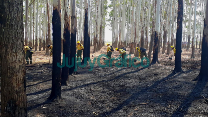 Gran tarea de brigadistas jujeños contra el fuego en Corrientes 3 Gran tarea de brigadistas jujenos contra el fuego en Corrientes 3