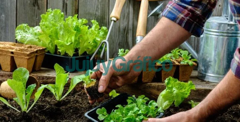 Inscripción para el curso on line de huerta orgánica 5 Huerta organica
