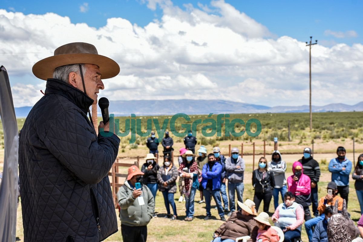 Impulso al Desarrollo de Cultivos Andinos en Rinconada 3 Impulso al Desarrollo de Cultivos Andinos en Rinconada 2