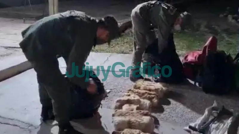 Incautan 30 cueros de vicuña ilegales en Purmamarca 1 Incautan 30 cueros de vicuna ilegales en Purmamarca 2