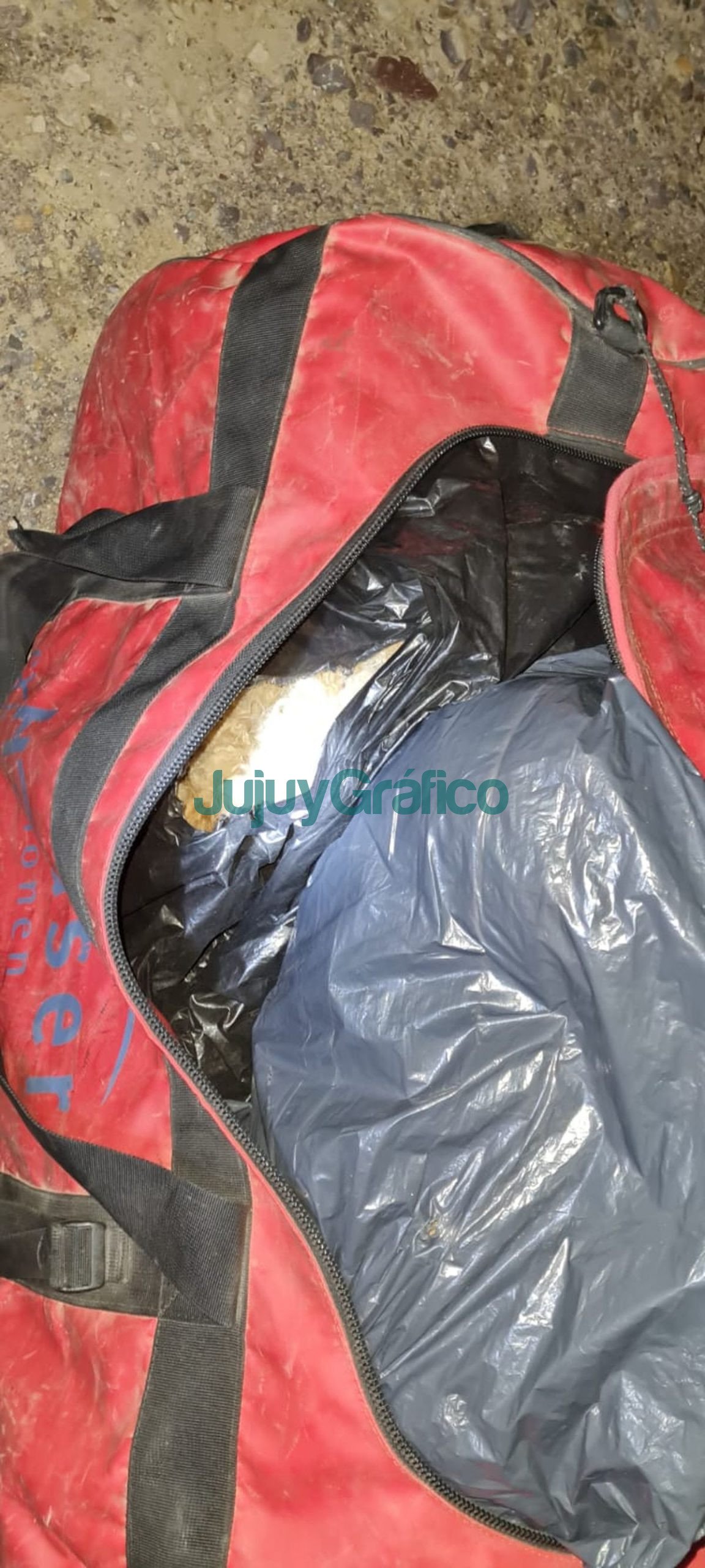 Incautan 30 cueros de vicuna ilegales en Purmamarca 4