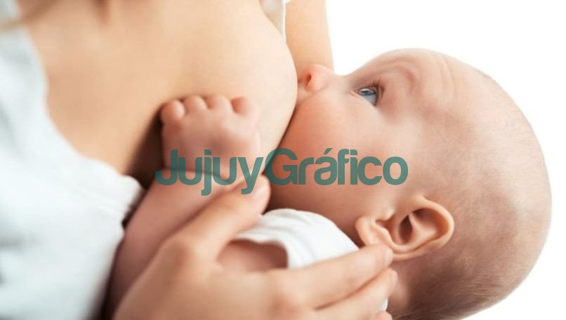 Aporte económico solidario para el Centro de Lactancia y Banco de Leche Humana 6 Aporte economico solidario para el Centro de Lactancia y Banco de Leche Humana 2